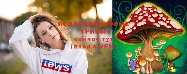 первитин Бородино